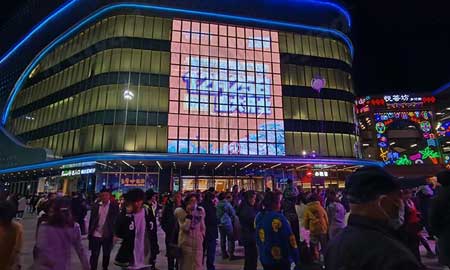 P20 40 Film Transparent Screen